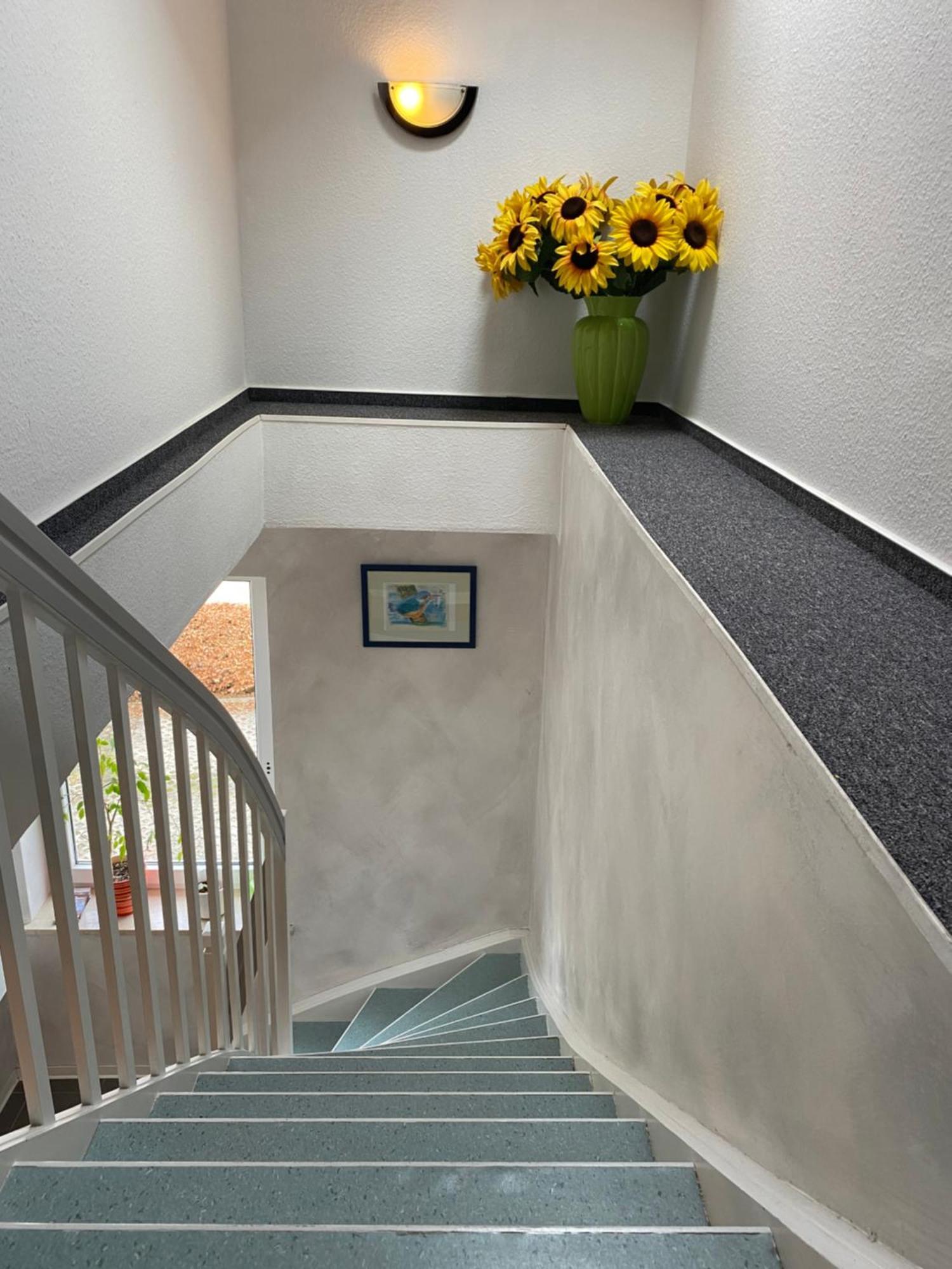Haus Seewind Warnemuende روستوك المظهر الخارجي الصورة